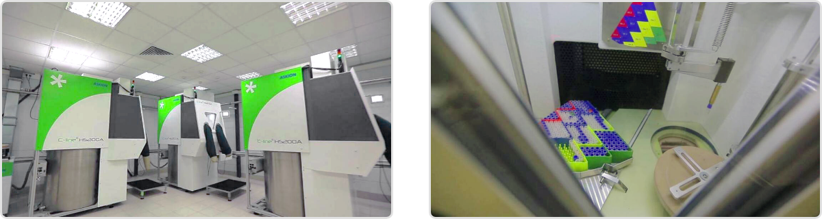 1561097895715317.png els 22.png