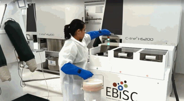 1578533299830083.gif 用户案例 德国Frnhofer IBMT生物银行.gif